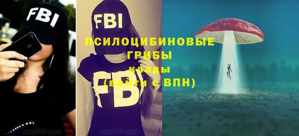 таблы Арсеньев