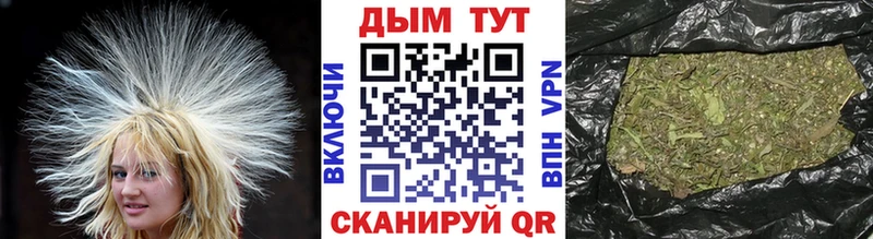 где продают наркотики  Белёв  Бошки Шишки Ganja 